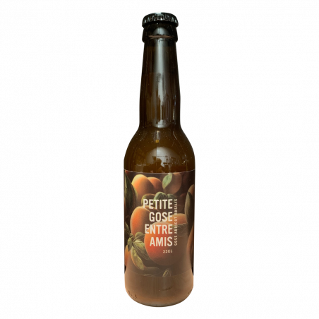 BTA Petite Gose entre amis, bière blonde 33cl