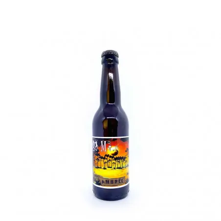 BIERE M40 AMBREE BIO 33cl